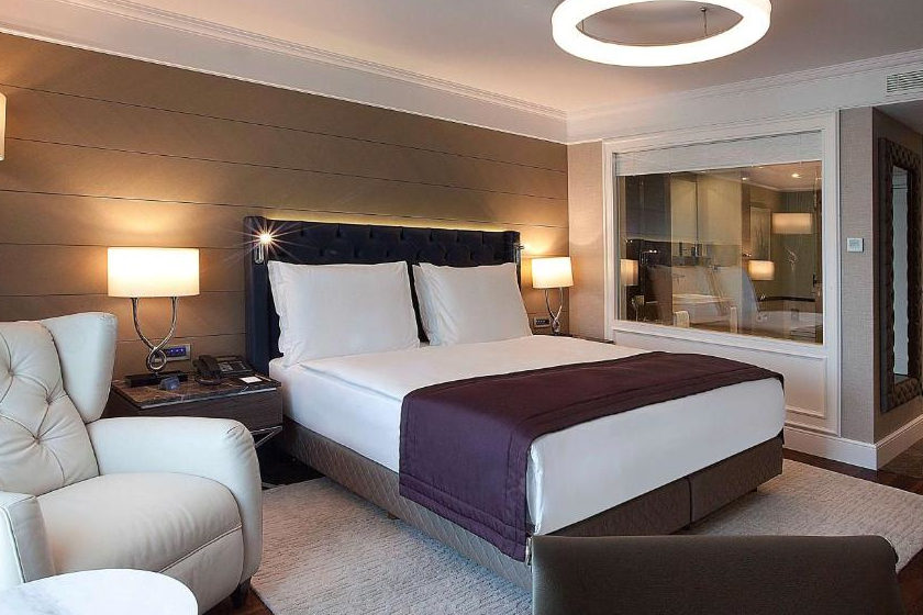 Rasisson Blu Sisli Istanbul - Standard Guest Room