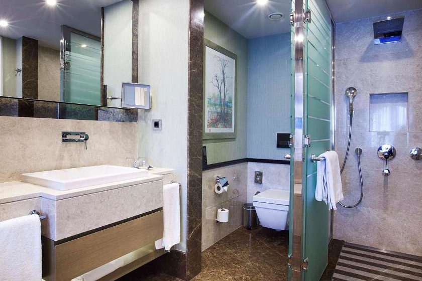 Rasisson Blu Sisli Istanbul - Standard Guest Room