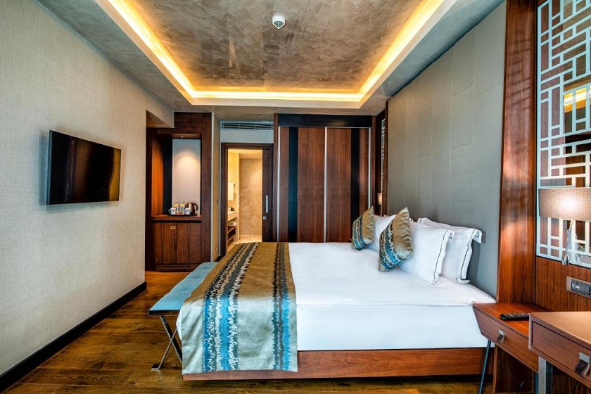 Clarion Hotel Golden Horn Istanbul - Standard Double Room