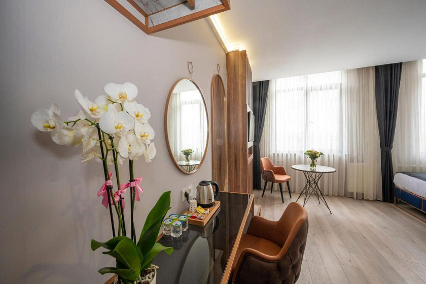 Seyithan Palace Spa Hotel Istanbul - Deluxe Single Room